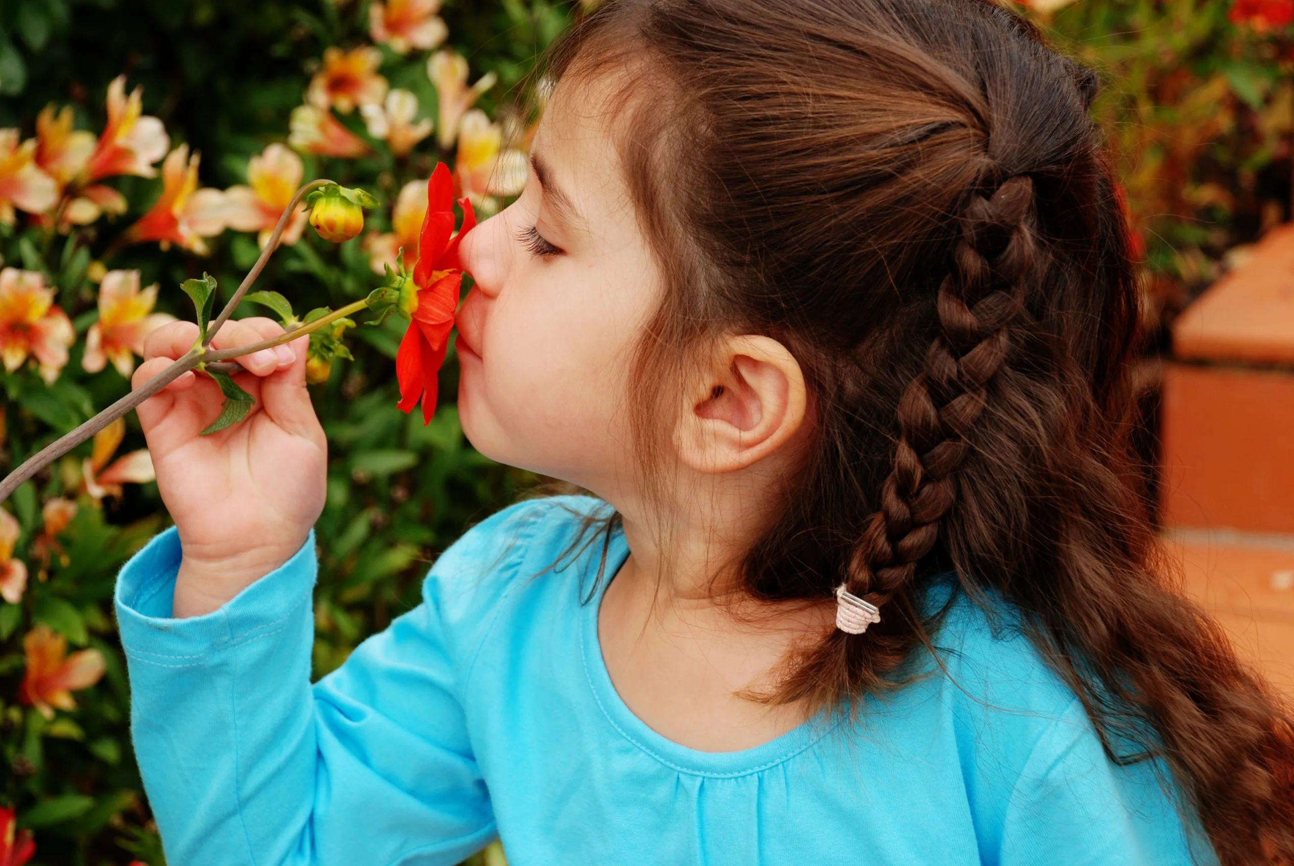 5a013b2c-d151-4398-abfa-daae6e83f3e7-scaled